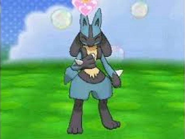 *Dark sends out Lucario * pet him to see if you can handle  Pokémon