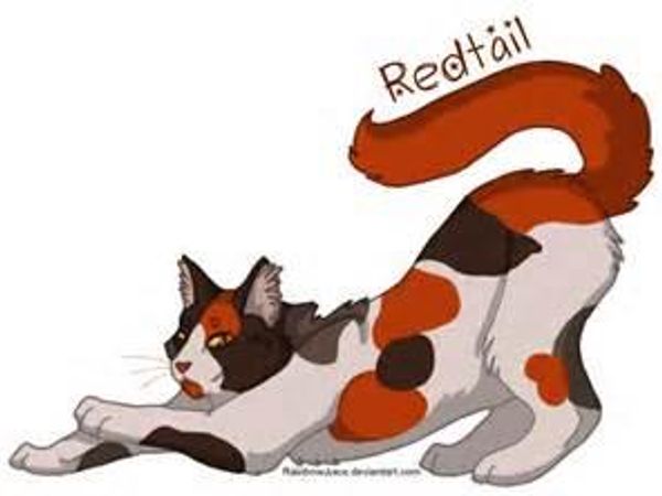 redtail is injured and riverclan left what do you do?