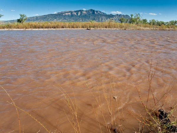 You find water, but something doesn't seem right about it. What do you do?