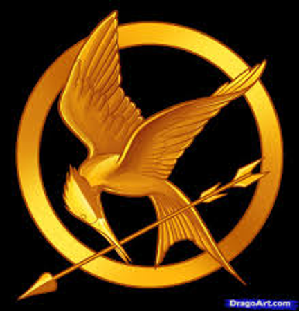 You are in the Hunger Games and have a choice of weapons to use against the other tributes. What weapon will you choose?