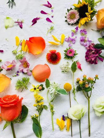 Choose a favorite flower: