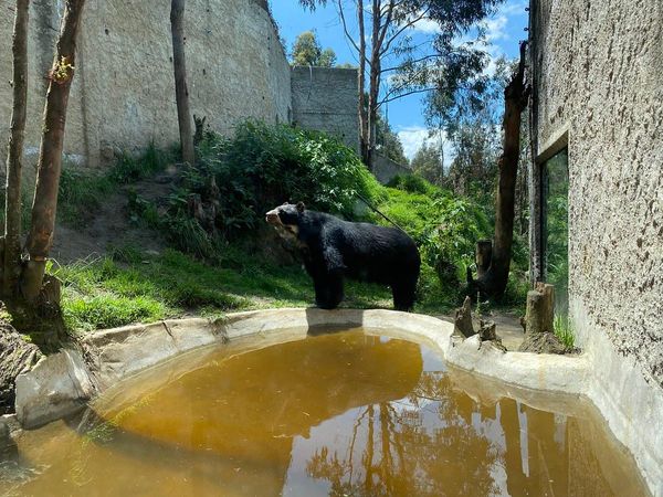 What is the most important feature of a zoo for you?