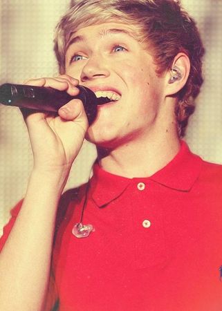 Me: Ok Niall, your turn! Niall: That wasn't enough time! Me: Niall! Niall: Fine, what's your favorite song out of these?