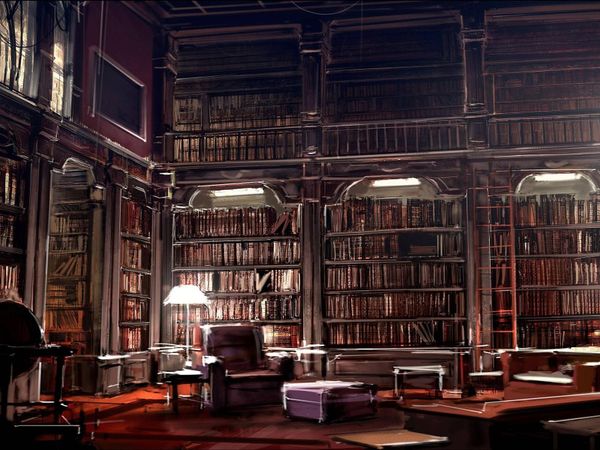 Whatever the answer to the previous question was, you meet Skyreader in the library. There, he tells you a shocking secret - he's an animus.