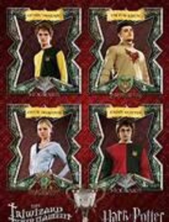 Who would you be supporting in the triwizard tournament?