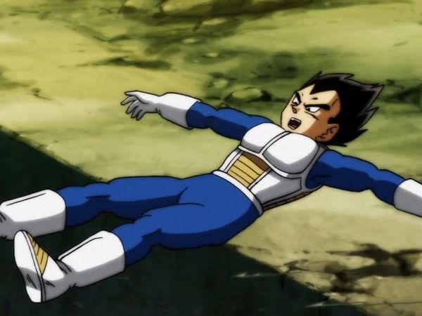 is vegeta best boy?