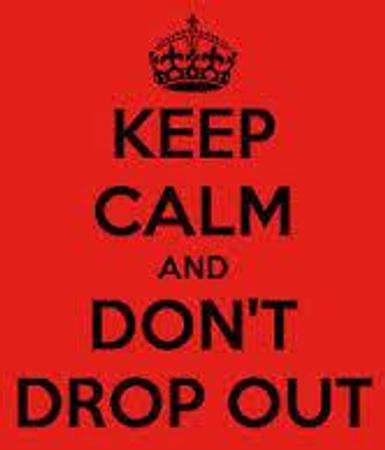 Did you or are you going to drop out of highschool.