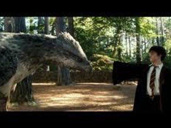 If you had a chance to see any of the magical creatures throughout the entire Harry Potter series which would be the main one you would want to see?