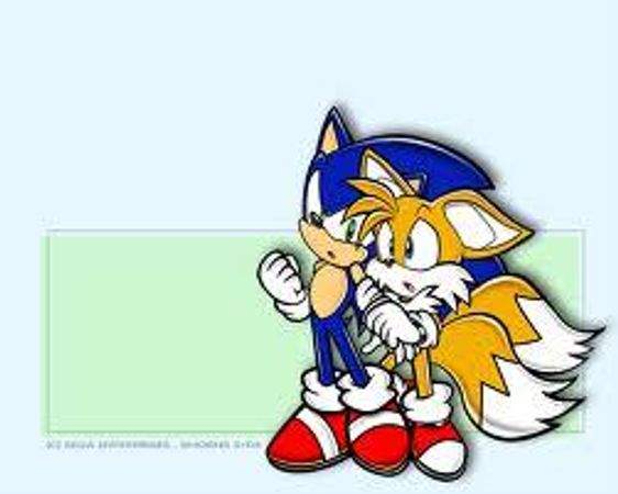 Umm well then let's move on to the next question! Tails will you please ask the next question? *Tails* "..." *Sonic* "Come on now tells that don't bite!" *Tails* "Umm ok what activities do you like to do?"