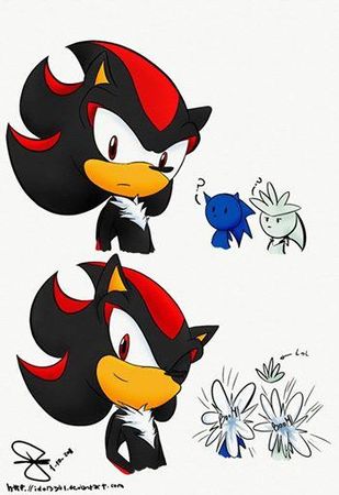 Me : Did you read the description of your last results? // Sonic : Of course she did! She had me! // Shadow : Not necessarily