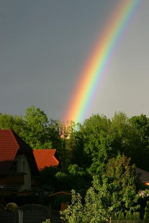 Which natural phenomenon do you find fascinating?