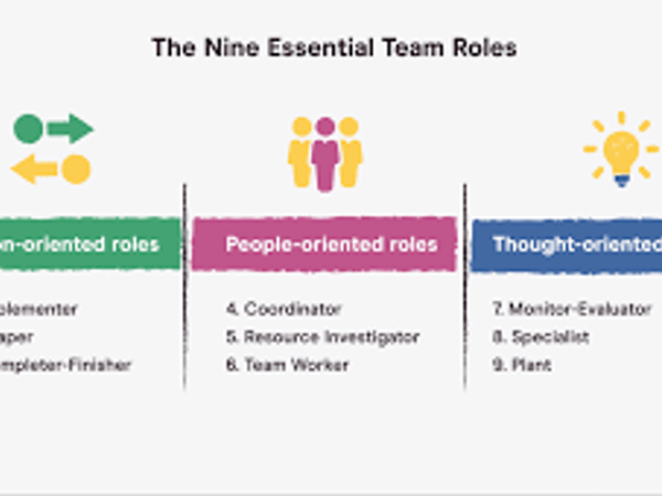 What role do you play in a team?