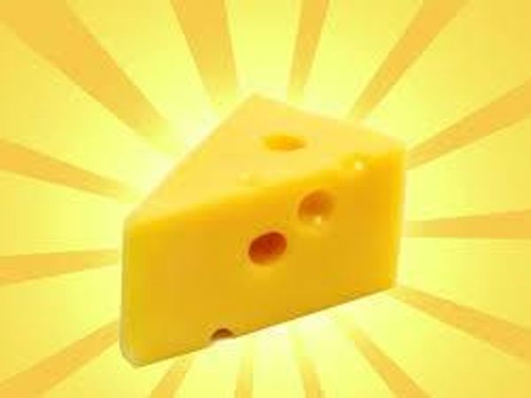 Do you like cheese