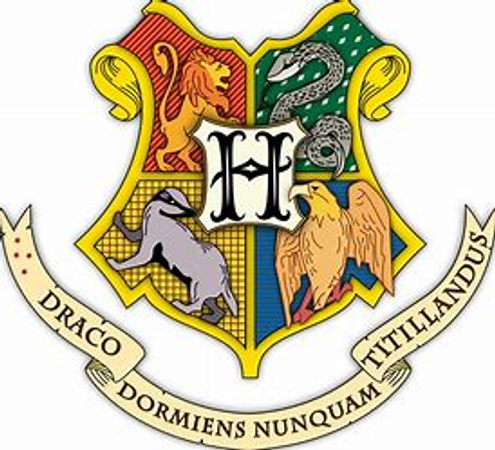 You are now in Hogwarts. You are about to be sorted into a house. Which house do you want to be in?