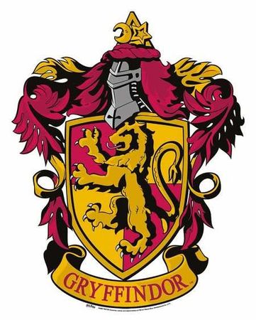 What year did Harry become the Gryffindor team captain?