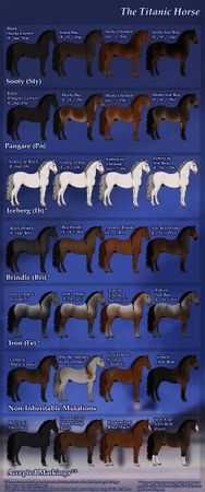 If you were a horse, what coat color would you prefer?