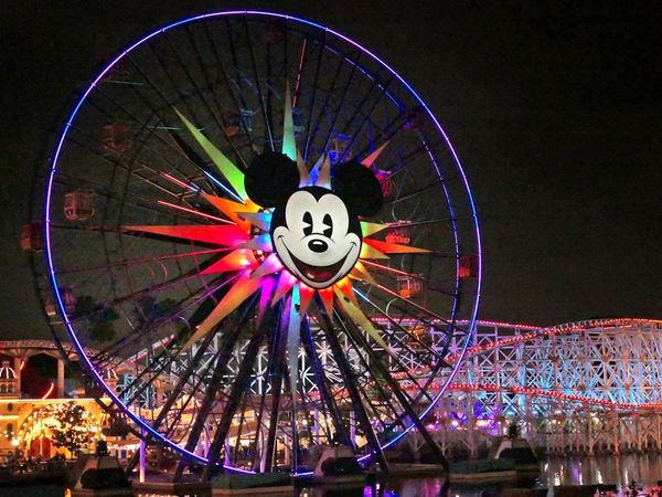 What is your favorite Disney theme park?