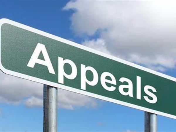 Which of the following appeals to you?