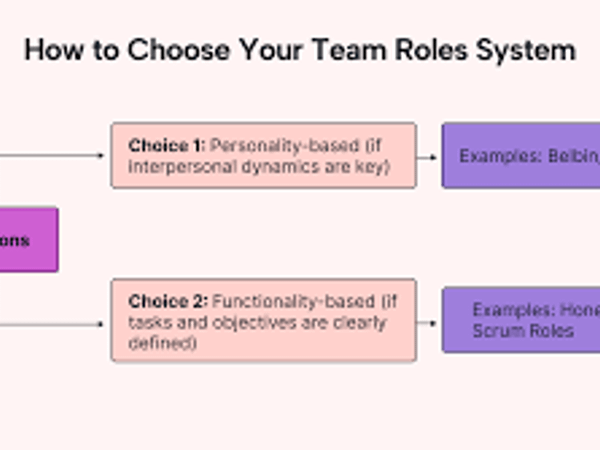 What's your ideal team role?