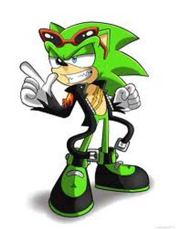 You walk up and close the window. Relief flew throgh you as the cold disapeared. You turned back around to go back to bed. A green hedgehog with three scars along his chest. He pulled on his black leather jacket. You could feel him stare at you even though this sunglasses. A smirk appeard on his face. He took the glasses off you revel bright blue eyes. "Night babe" He said before you blacked out.