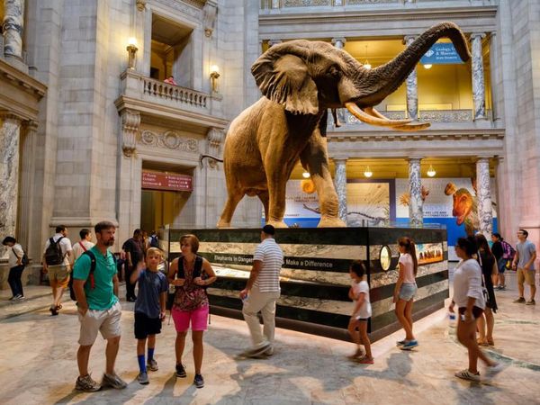 Would you rather visit a museum or an amusement park?