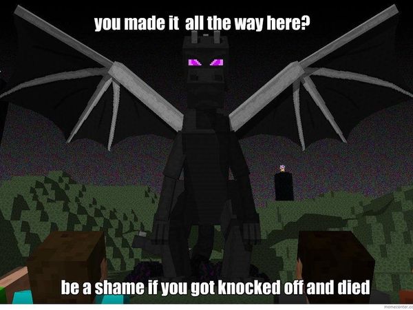 It's time to slay the Enderdragon! What do you bring?