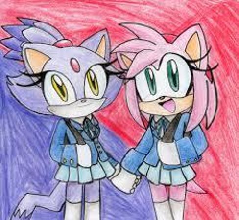 After dinner, the doorbell rings. "i'll get it", you say. you open the door, and standing before you are a purple cat, pink hedgehog, and a blue hedgehog, who introduce themselves as Blaze, Amy, and Sapphire.