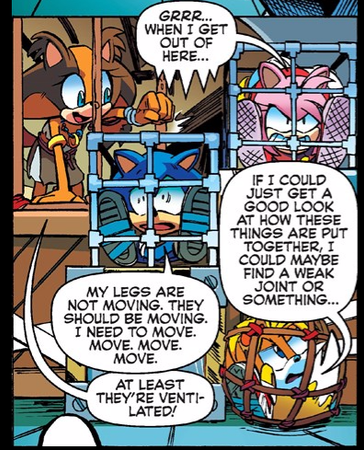 "Well now you know!"Eggman says laughing.He walks away,and you look at the ground.You began to feel homesick,and you even missed Sorel's constant yelling.Then you to your left to find someone else trapped in another container.She looked like a wolf,with a black and white hat on her head.She had a silver sword strapped to her side below her white jacket.She had gold bracelets on her arms,and wore a white t-shirt with a black skirt.She looks at you."Hey!"you yelled.The wolf looks at you."You can't hear me can you."The wolf blows on the glass and tries to write on the fog."I can hear you.Don't worry they will be here soon."The writing says.You look in surprise."How can she hear me?"you think.Then you heard a loud siren.You jump in surprise.What do you think?