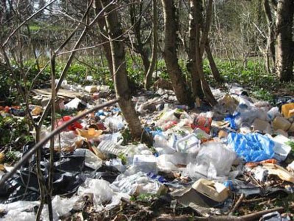 You get given litter for your tea, how do you react?