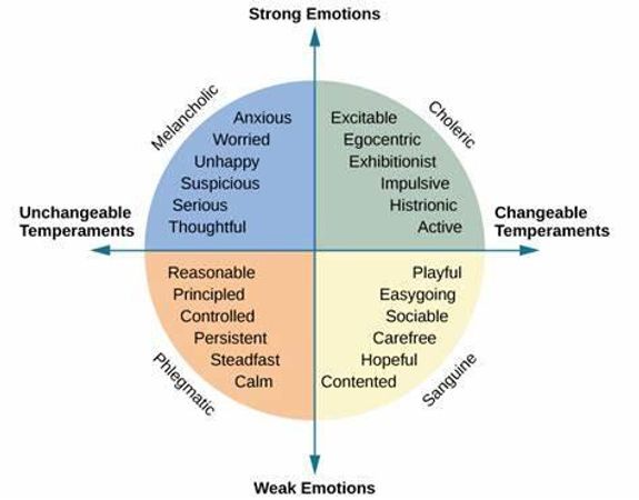 How would you describe your temperament?