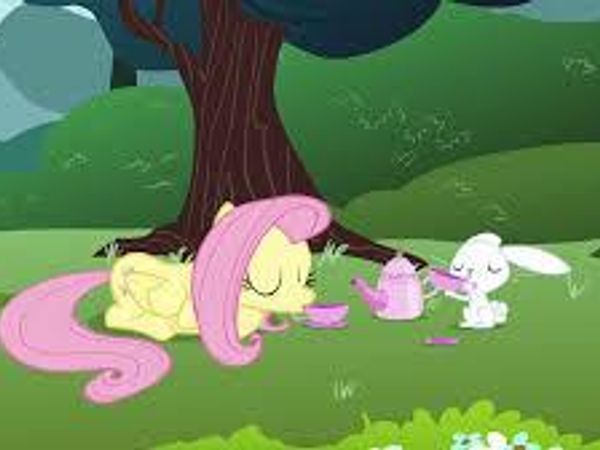 Fluttershy : Would you care for a Tea Party?