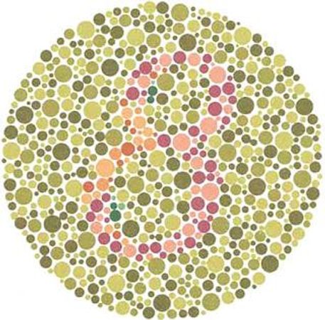 What number do you see here?