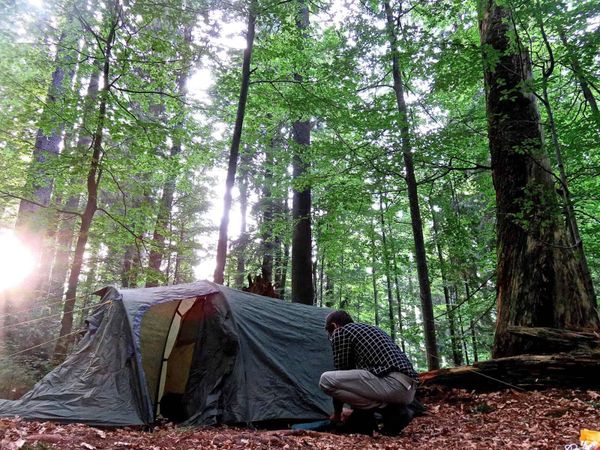 How do you feel about camping in the wilderness?