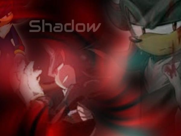 Shadow walks into the room  Hmph greetings