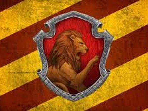 What do you think of Gryffindors?