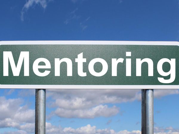 When faced with a difficult task, do you prefer to tackle it on your own or find a mentor to guide you?