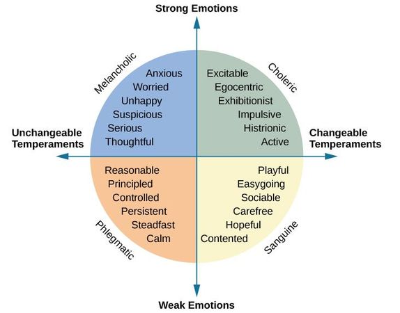 How would you describe your temperament?