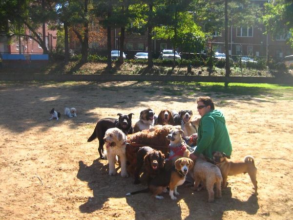 How does your dog play with other dogs at the park?