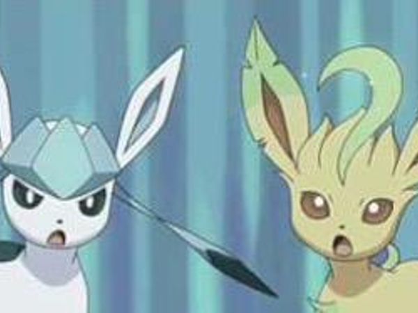 Me: hi everyone! Your probobly here to figure out what the eeveelutions think of you. Let's start! First we need the twins in here. (Leafeon and glaceon)  Leafeon and glaceon: hi! Glaceon: did you shower this morning leaf?! Leafeon: EW! Did YOU shower this morning?! Me: sorry. They're always like this.