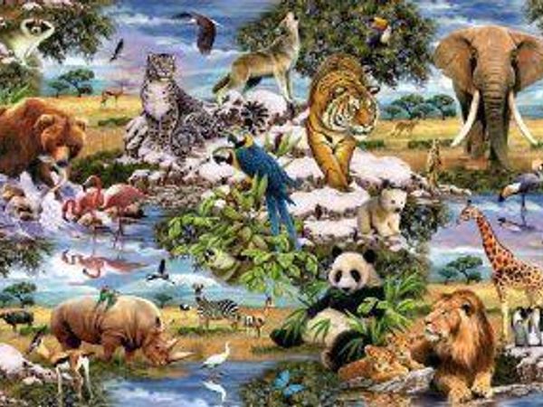 Which animal do you like the most?