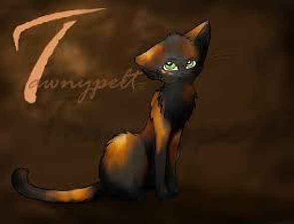 Me: Oh look who it is! Tawnypelt: Hi! can I say question one? Me: Sure! Go ahead! Tawnypelt: If Someone acused you of murder what would you do? Me: Great Question! Tawnypelt: Great!