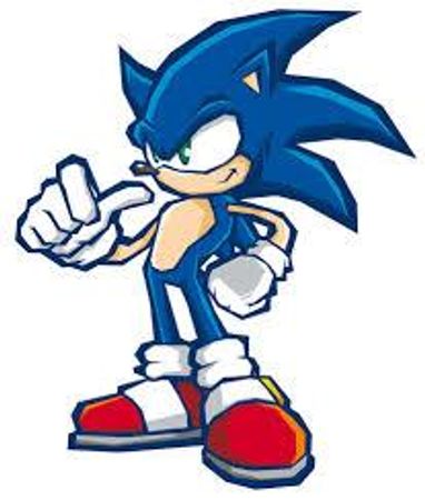 When you wake up, you are on the ground, in a place who are not familiar to you. You see a blue hedgehog approaching you by running very fast. < You: He tells me something... > < The hedgehog : Hi! My name is Sonic, who are you? >