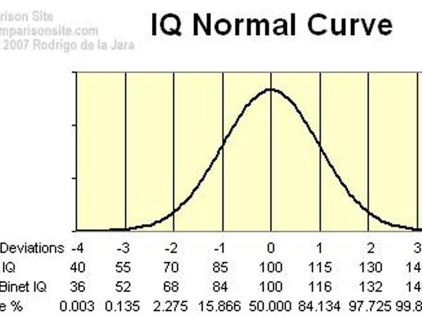 2. Are you intelligent, at least in the "bright normal" range?