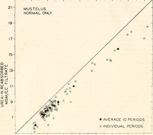 How do you handle periods of distance in a relationship?