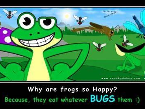 Why are frogs so happy?