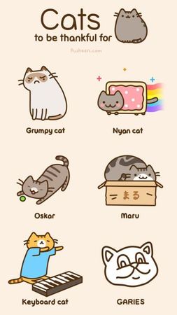 Random question, do you like cats?