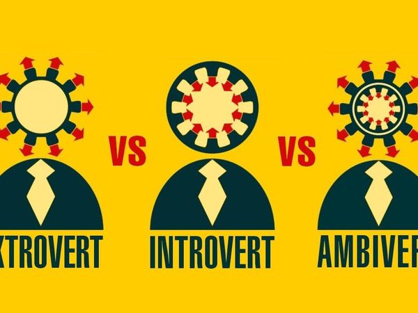 Introvert, Extrovert, or something else?