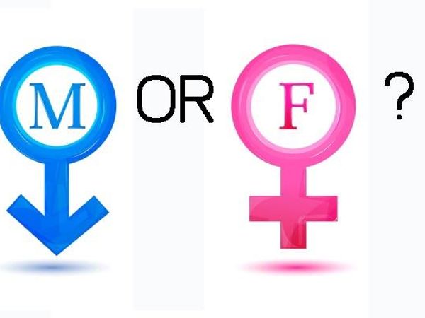 Am I male or female?