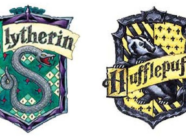 Which House describes you the most?