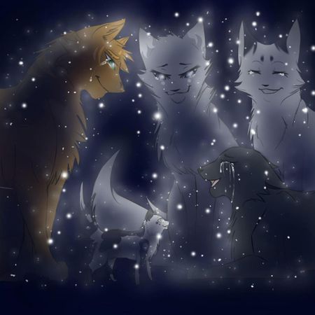 Do you believe in Starclan?